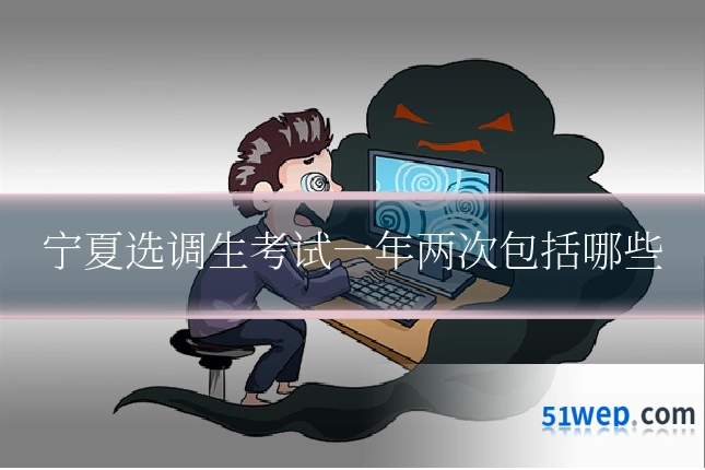 宁夏选调生考试一年两次包括哪些