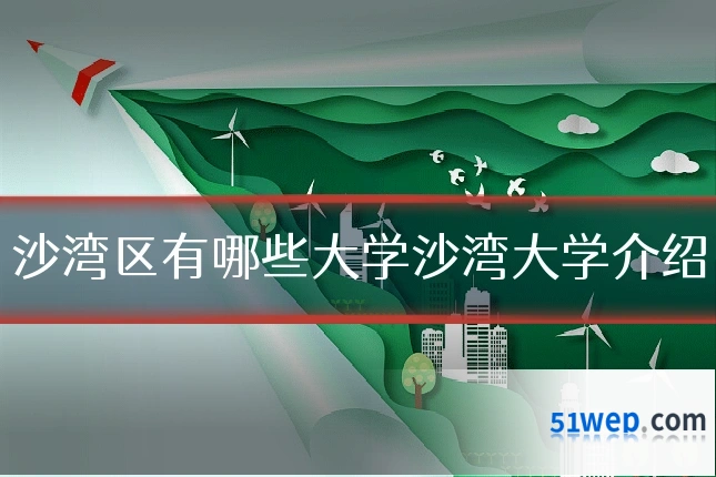 沙湾区有哪些大学沙湾大学介绍