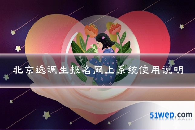 北京选调生报名网上系统使用说明