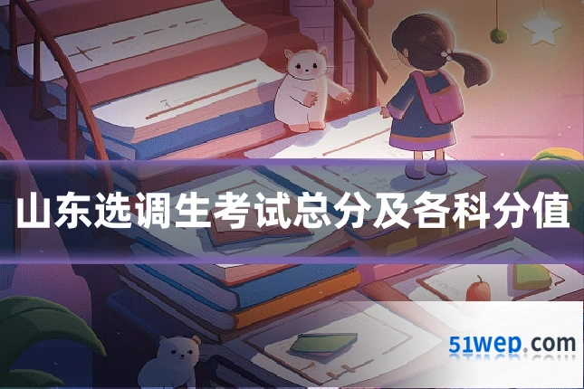 山东选调生考试总分及各科分值