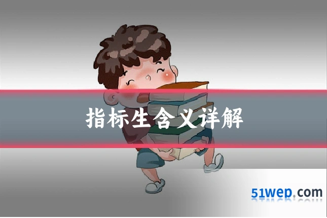 指标生含义详解
