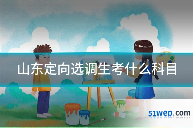山东定向选调生考什么科目