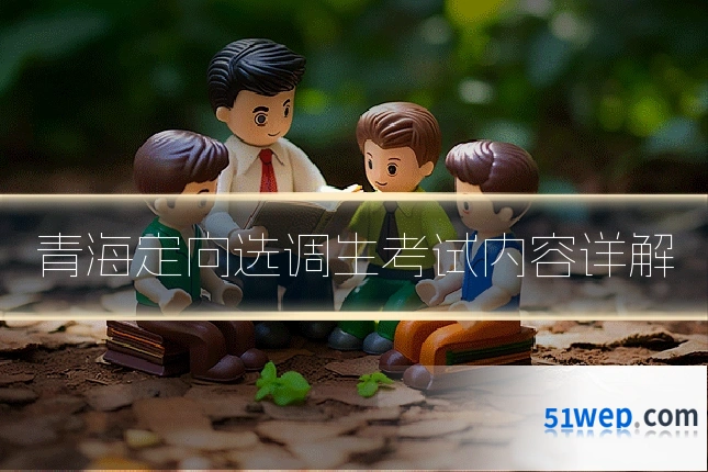 青海定向选调生考试内容详解