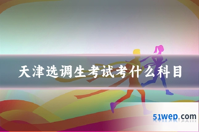 天津选调生考试考什么科目