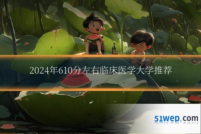 2024年610分左右临床医学大学推荐