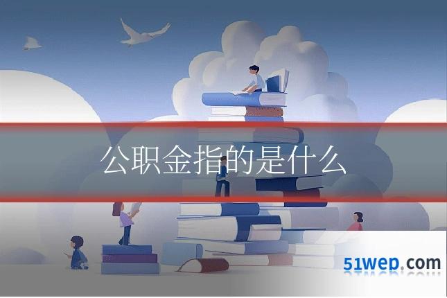 公职金指的是什么