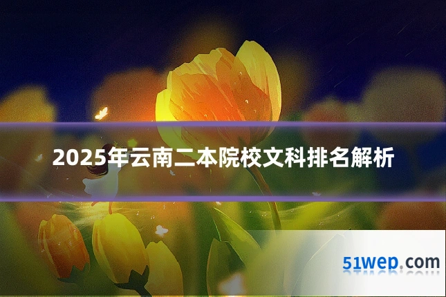 2025年云南二本院校文科排名解析