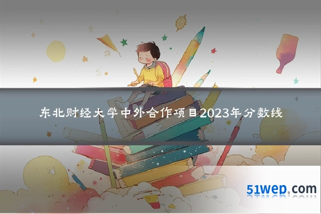 东北财经大学中外合作项目2023年分数线