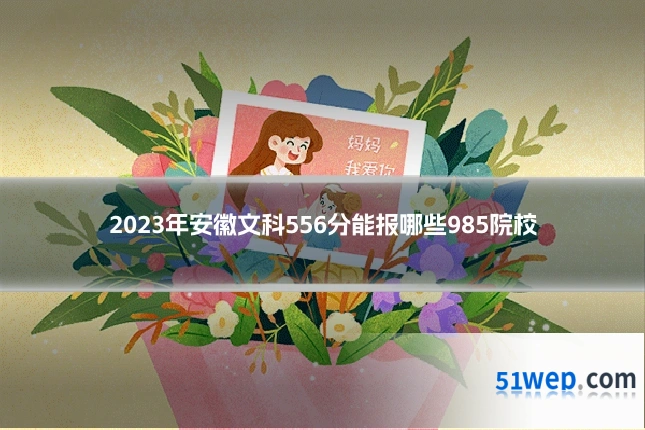 2023年安徽文科556分能报哪些985院校