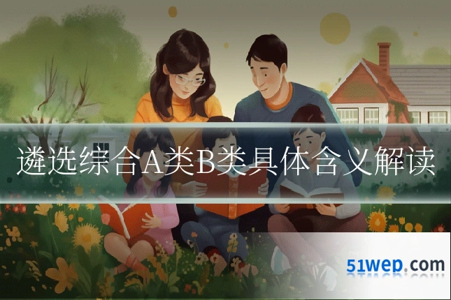 遴选综合A类B类具体含义解读