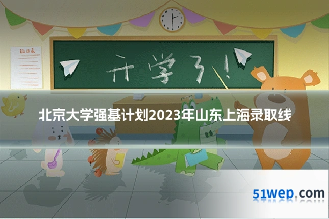 北京大学强基计划2023年山东上海录取线