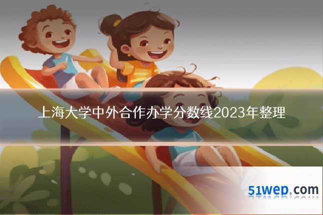 上海大学中外合作办学分数线2023年整理