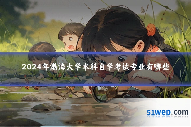 2024年渤海大学本科自学考试专业有哪些