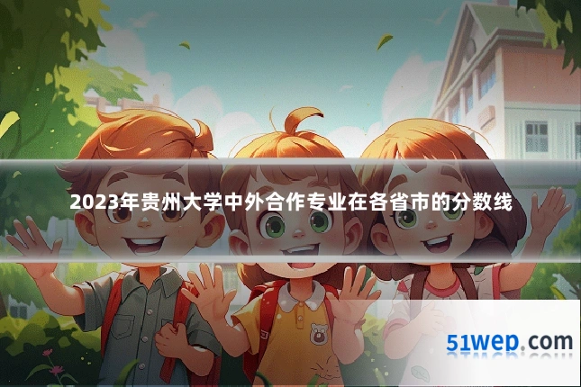 2023年贵州大学中外合作专业在各省市的分数线