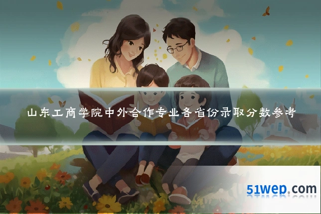 山东工商学院中外合作专业各省份录取分数参考