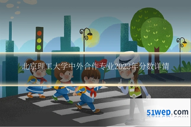 北京理工大学中外合作专业2023年分数详情