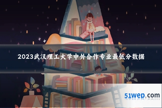 2023武汉理工大学中外合作专业最低分数据