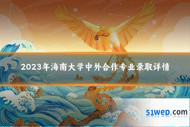 2023年海南大学中外合作专业录取详情