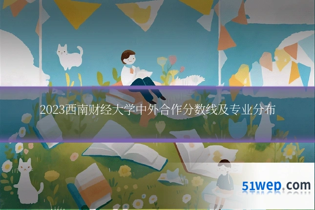 2023西南财经大学中外合作分数线及专业分布