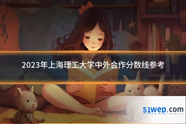 2023年上海理工大学中外合作分数线参考
