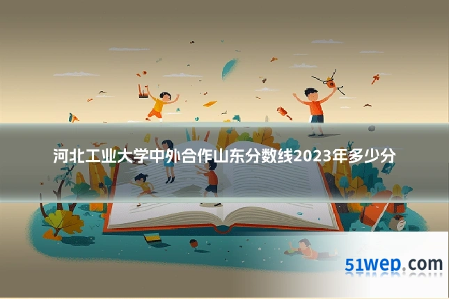 河北工业大学中外合作山东分数线2023年多少分