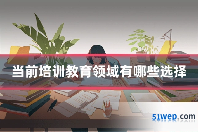 当前培训教育领域有哪些选择
