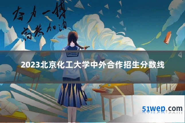 2023北京化工大学中外合作招生分数线