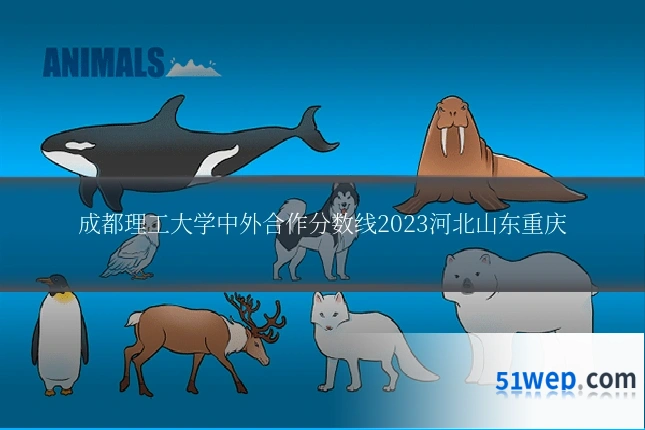 成都理工大学中外合作分数线2023河北山东重庆