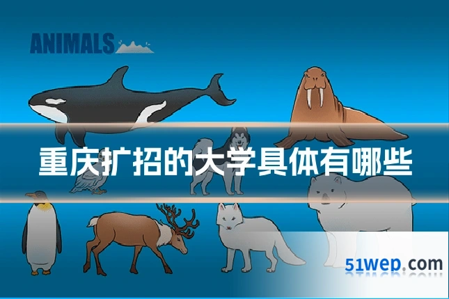 重庆扩招的大学具体有哪些