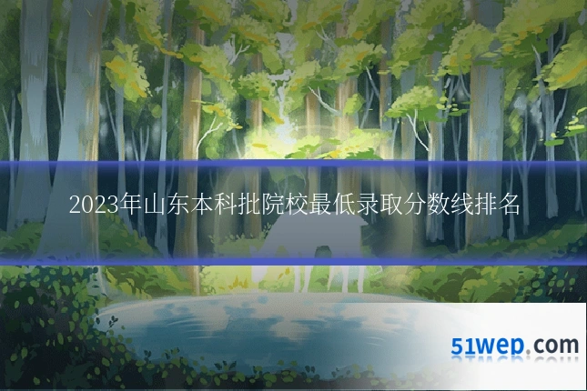 2023年山东本科批院校最低录取分数线排名