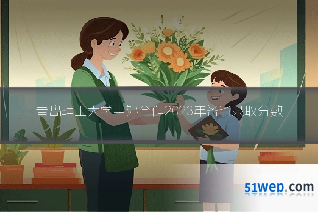 青岛理工大学中外合作2023年各省录取分数