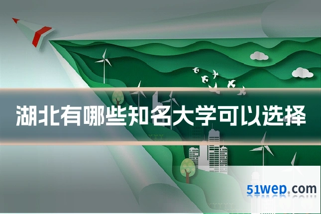 湖北有哪些知名大学可以选择