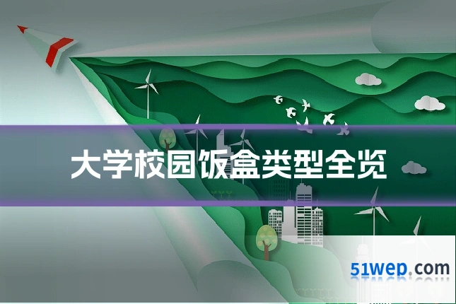 大学校园饭盒类型全览