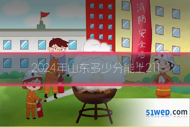 2024年山东多少分能上211