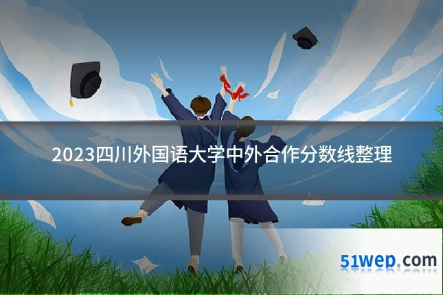2023四川外国语大学中外合作分数线整理