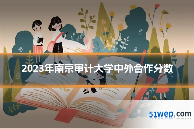 2023年南京审计大学中外合作分数