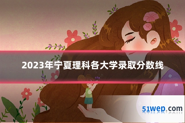 2023年宁夏理科各大学录取分数线