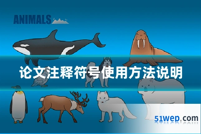 论文注释符号使用方法说明