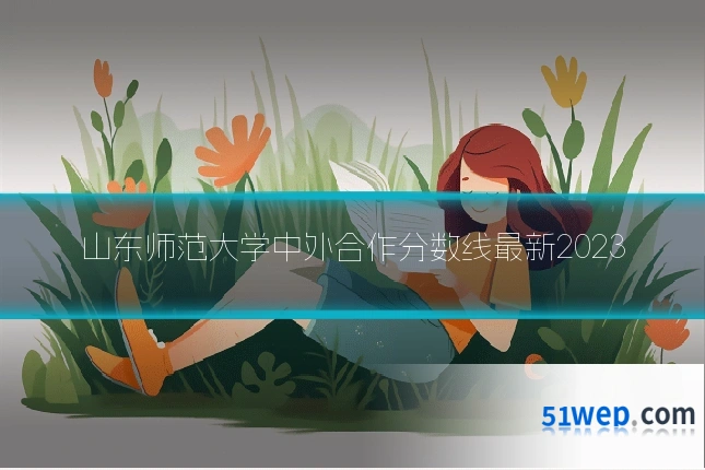 山东师范大学中外合作分数线最新2023