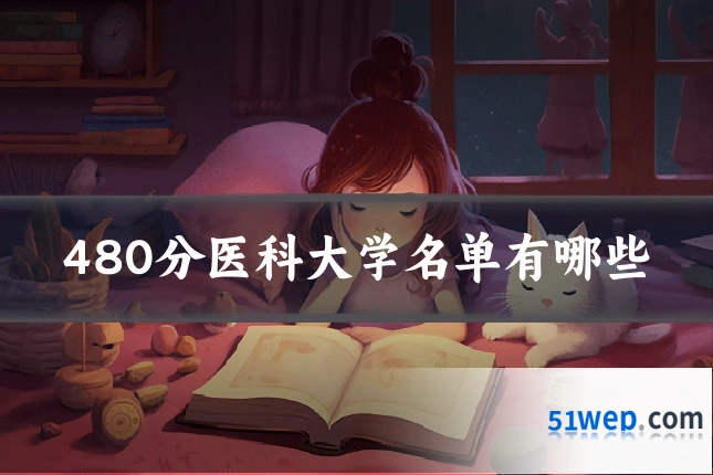 480分医科大学名单有哪些