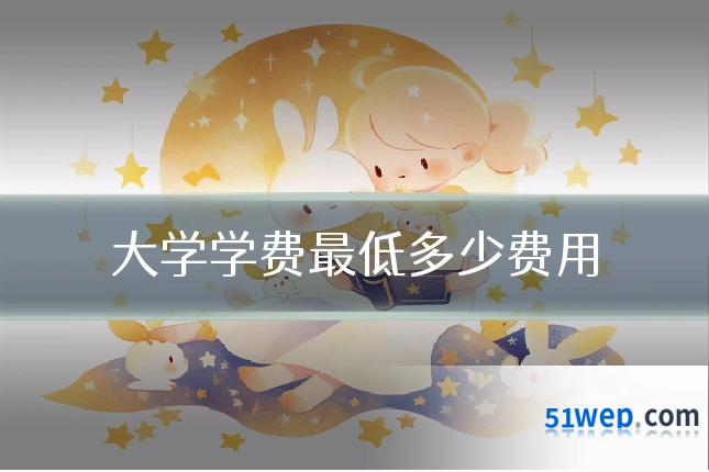 大学学费最低多少费用