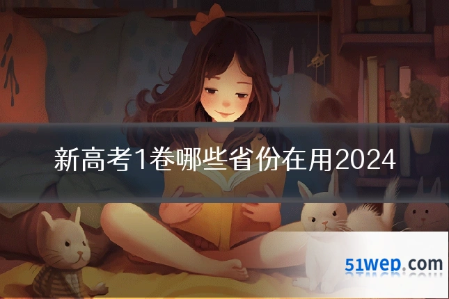 新高考1卷哪些省份在用2024