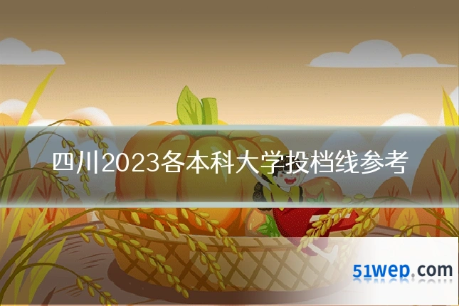 四川2023各本科大学投档线参考