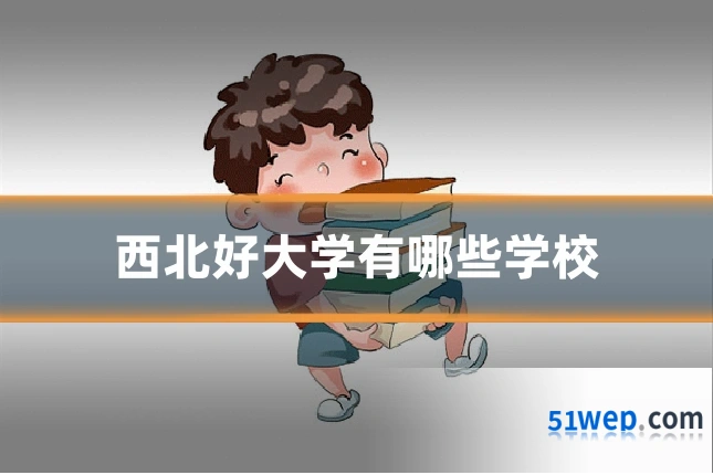 西北好大学有哪些学校