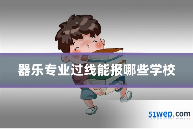 器乐专业过线能报哪些学校