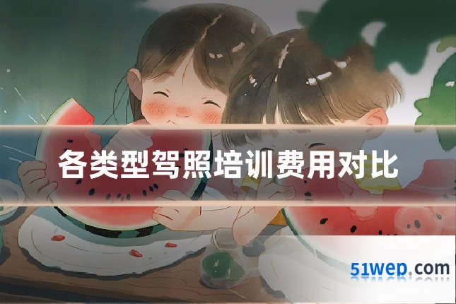 各类型驾照培训费用对比