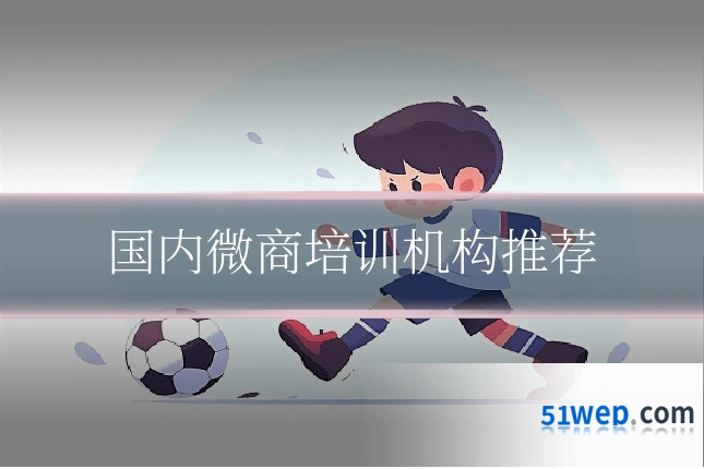 国内微商培训机构推荐