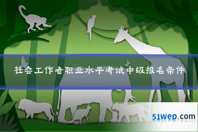 社会工作者职业水平考试中级报名条件
