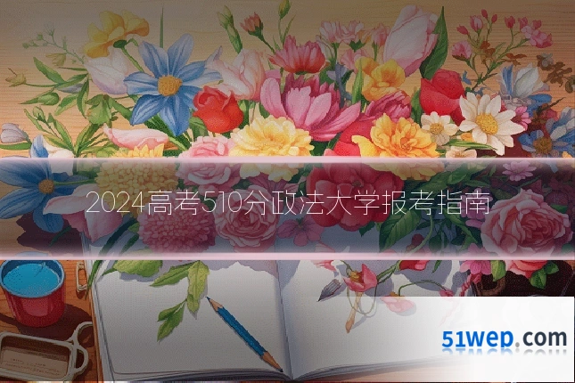 2024高考510分政法大学报考指南