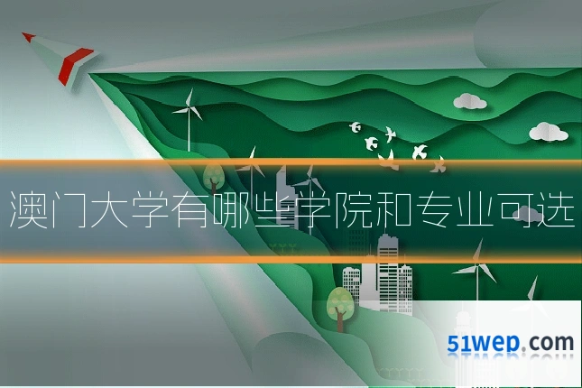 澳门大学有哪些学院和专业可选